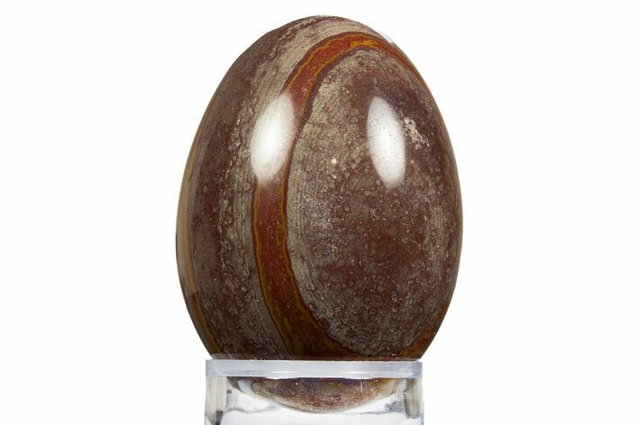 Polished Picture Stone Egg - Arizona #312728